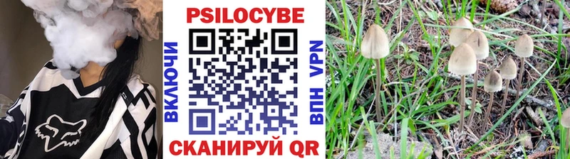 Псилоцибиновые грибы мухоморы  хочу наркоту  Славск 