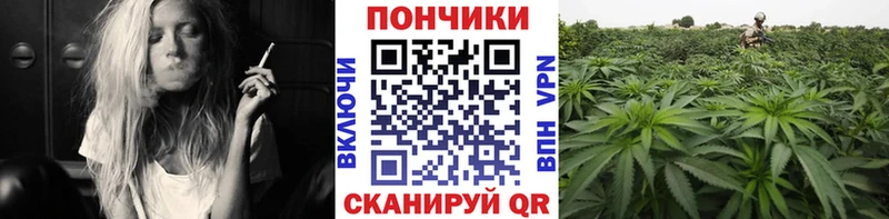 Бошки марихуана OG Kush  Славск 